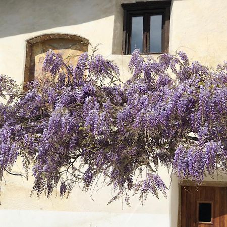 Agropobitzer Villa Malles Venosta Dış mekan fotoğraf
